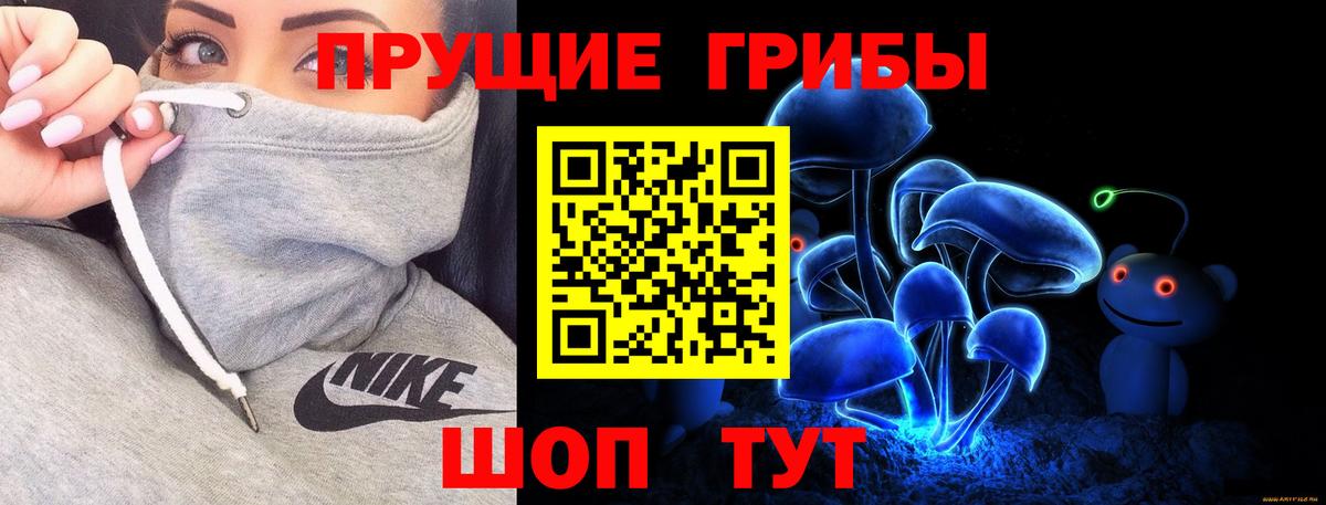 Галлюциногенные грибы MAGIC MUSHROOMS  Вход с VPN  Новосибирск 